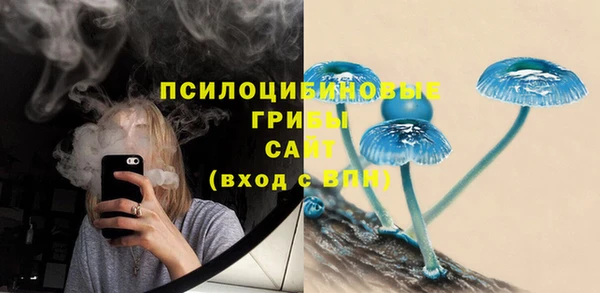 мяу мяу мука Арсеньев