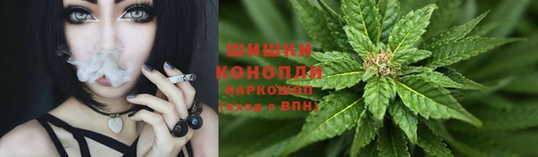 Альфа ПВП Аркадак