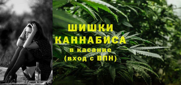Альфа ПВП Аркадак