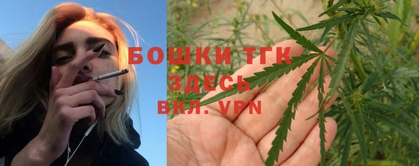 Альфа ПВП Аркадак