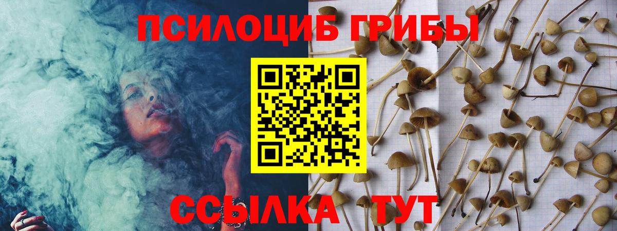 Псилоцибиновые грибы MAGIC MUSHROOMS  Вход с VPN  Усть-Лабинск 