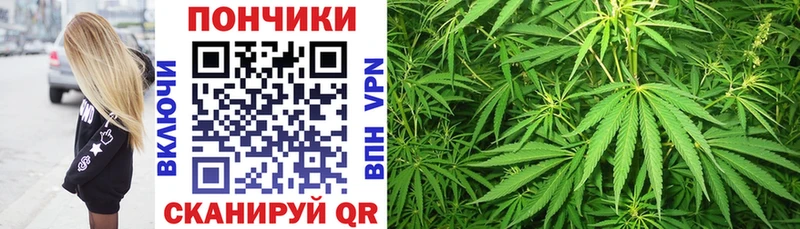 Бошки Шишки конопля  omg как зайти  Усть-Лабинск  где можно купить наркотик 